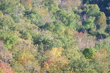 PeaksOfOtter_1619.jpg