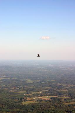 PeaksOfOtter_1709.jpg