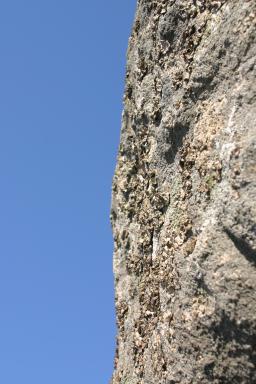 PeaksOfOtter_1813.jpg