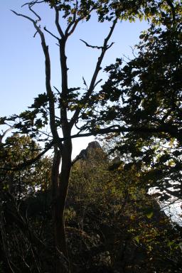 PeaksOfOtter_1980.jpg