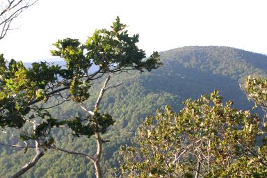PeaksOfOtter_2028.jpg