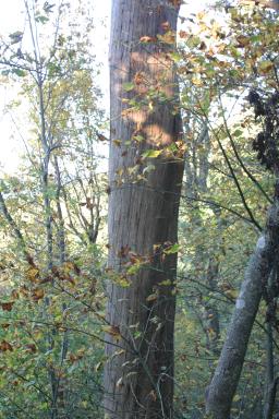 PeaksOfOtter_2040.jpg
