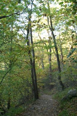 PeaksOfOtter_2067.jpg