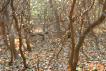 PeaksOfOtter_2106.jpg