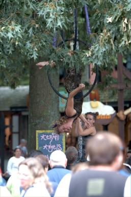 Tree nymphs.