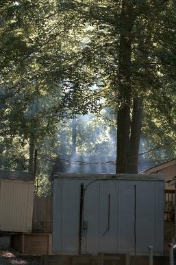 Behind the scenes: Smoke rises through the trees catching the light as food vendors prepare the days meals.