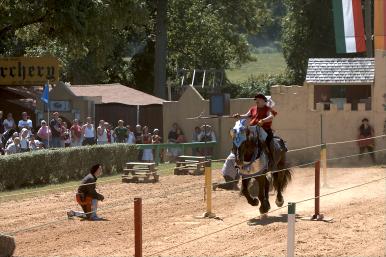 Knights compete by spearing rings.