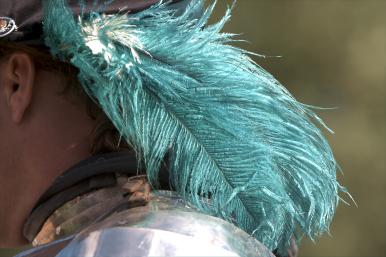 Check out the details of this knight's feathers.