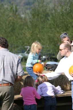 IMG_2324.jpg