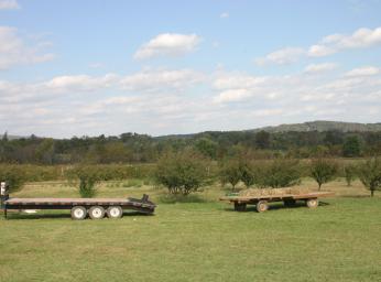 IMG_2496.jpg