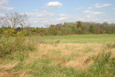 IMG_2515.jpg