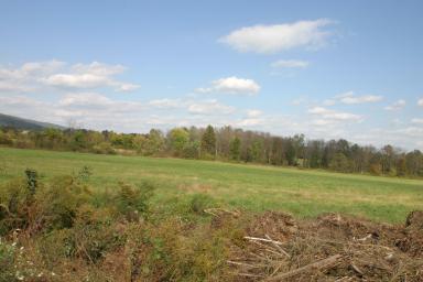 IMG_2518.jpg