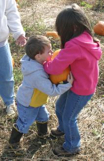 IMG_2536.jpg