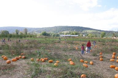 IMG_2546.jpg