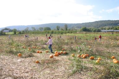 IMG_2552.jpg