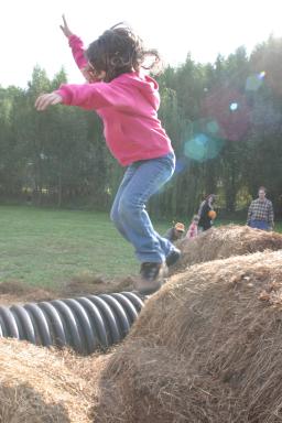 IMG_2871.jpg