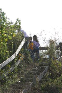 IMG_2937.jpg