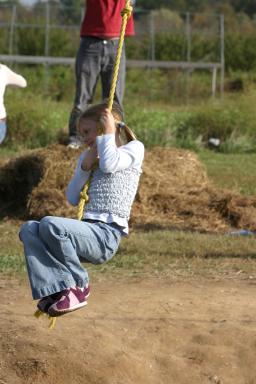 IMG_2939.jpg
