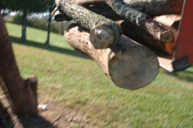 IMG_4924.jpg