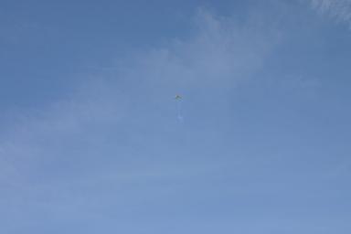 IMG_5026.jpg