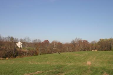 IMG_5035.jpg